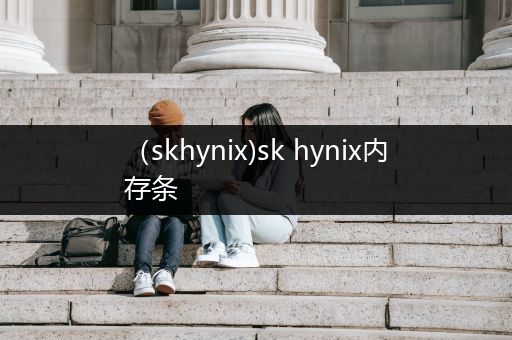 （skhynix)sk hynix内存条